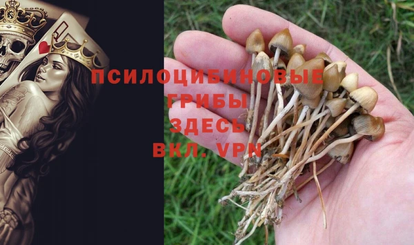 Альфа ПВП Волосово