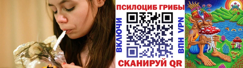 Купить закладки  Гатчина  Галлюциногенные грибы MAGIC MUSHROOMS 